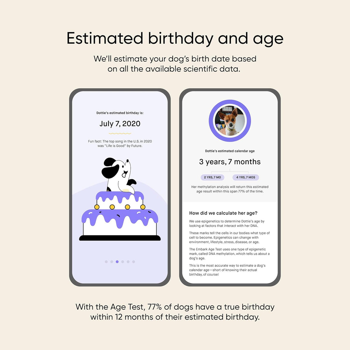 Dog DNA Test and Age Test Bundle L40404