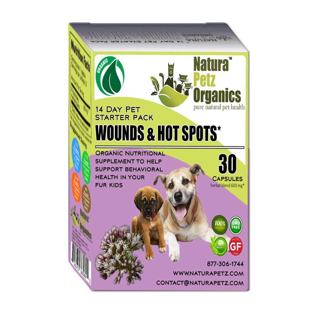 Dog Hot Spot Wound Starter Pak H67608