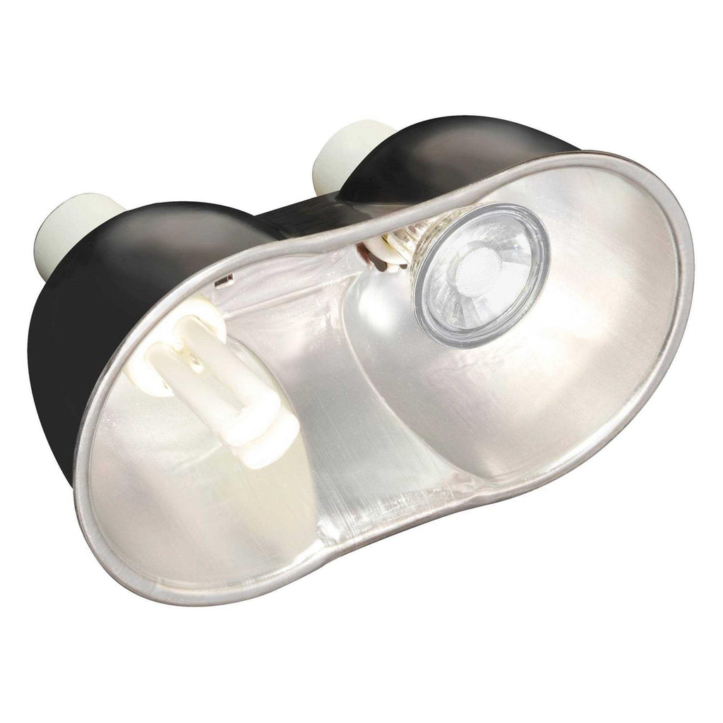 Turtle Lamp T208