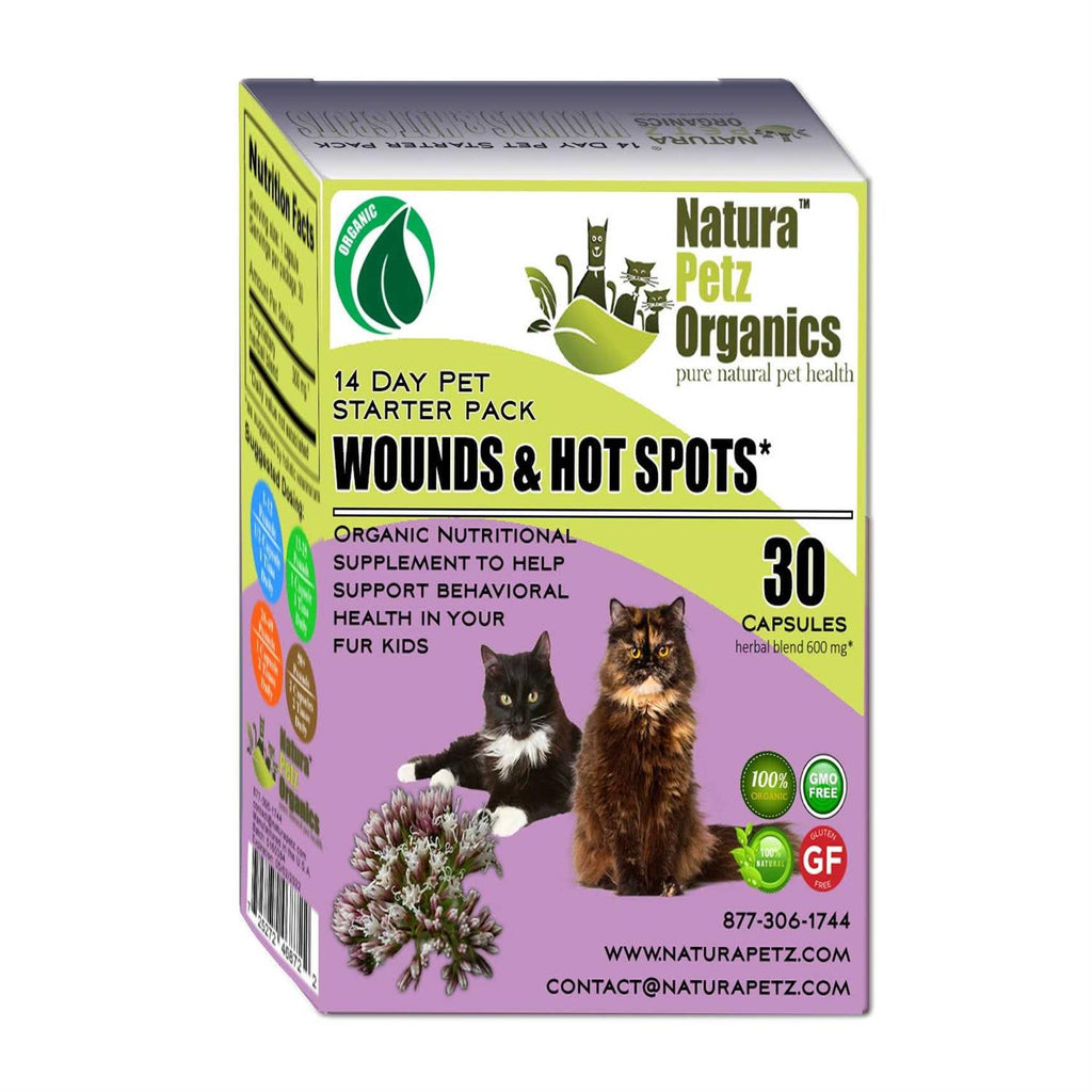 Dog Hot Spot Wound Starter Pak H67608