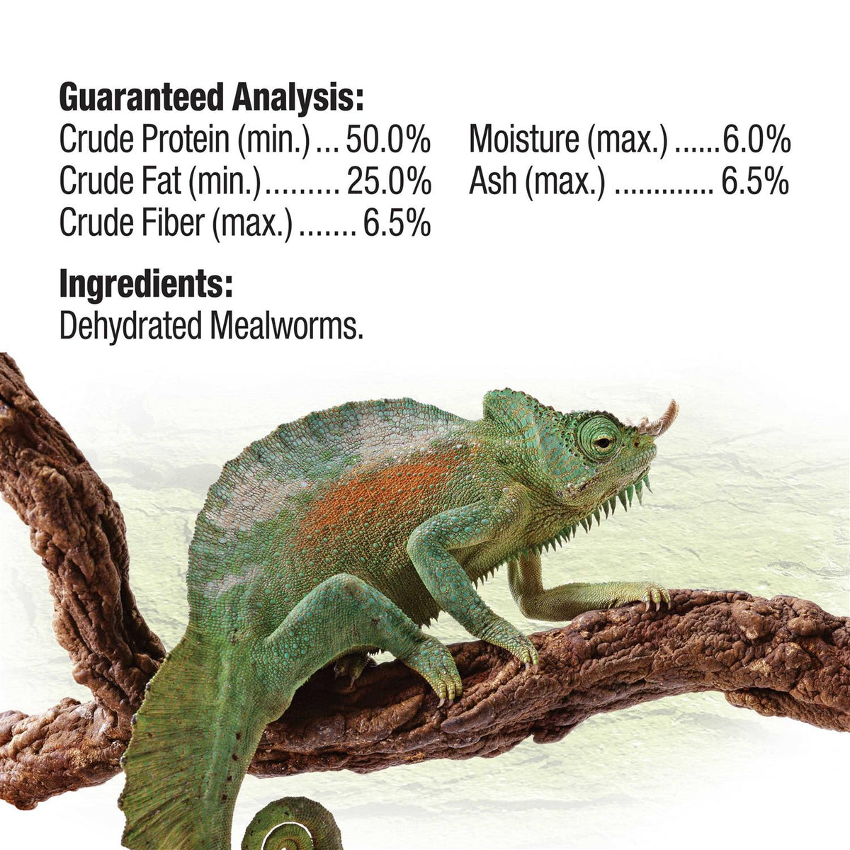 Mealworms Reptile E9706