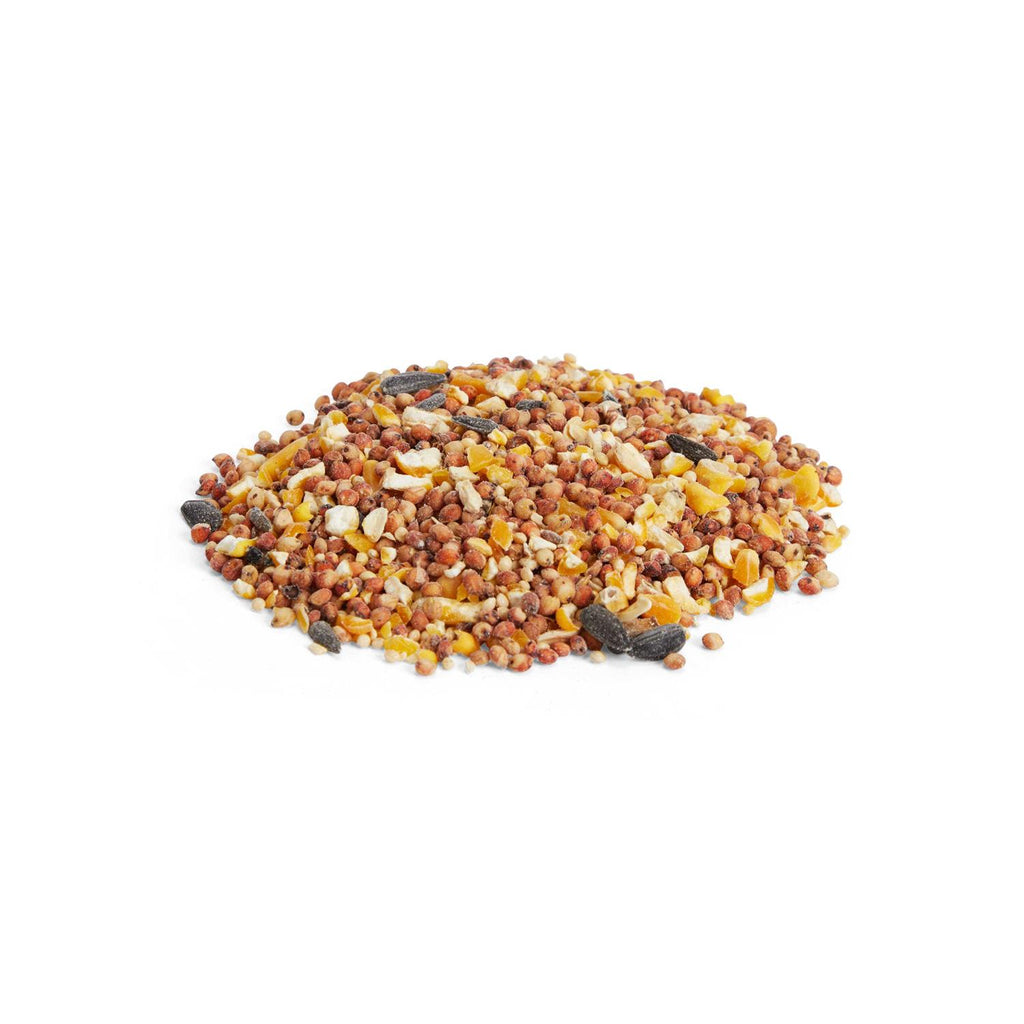 All Purpose Seed Mix Wild Bird Food I8891