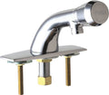 Single Supply Metering Sink Faucet B898251