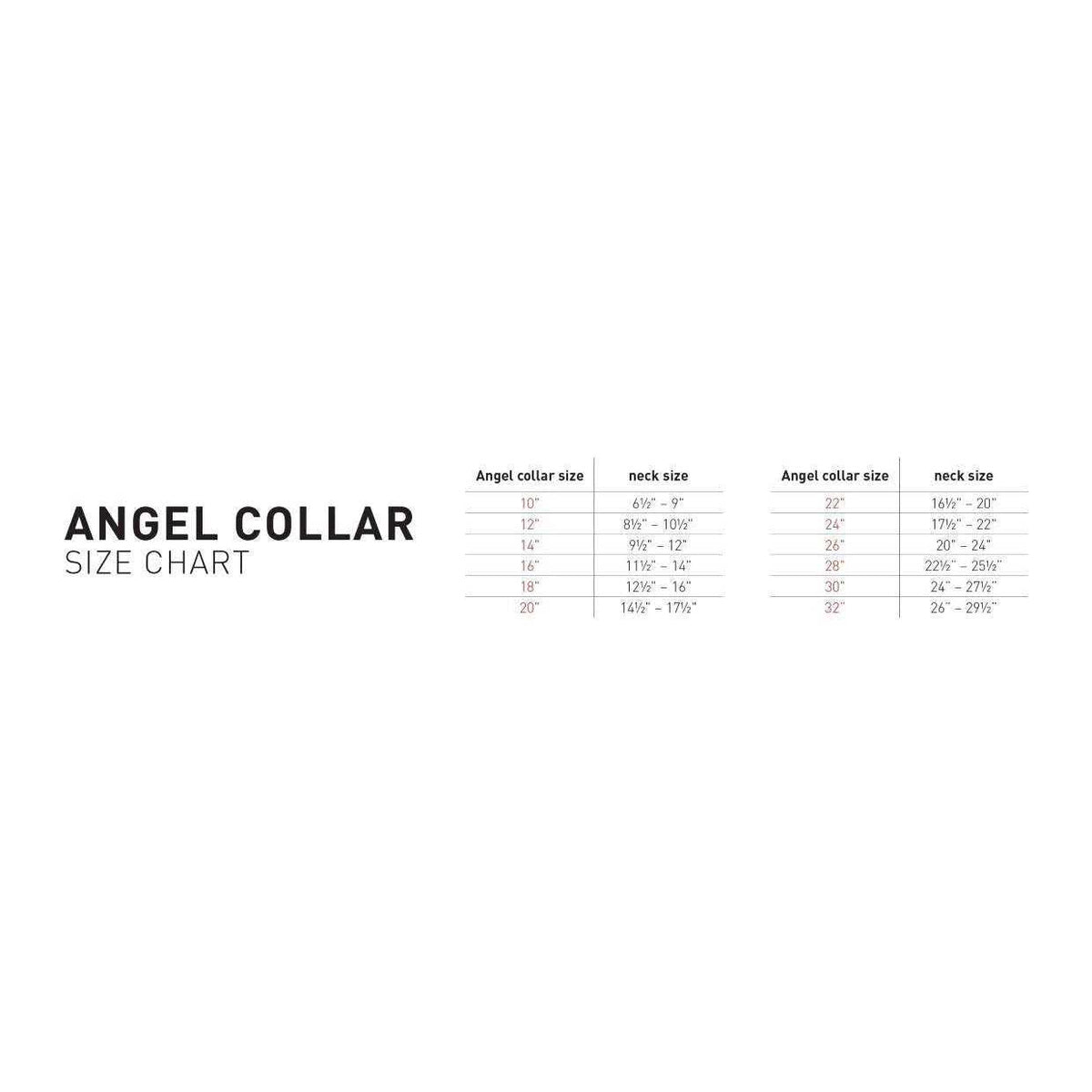Dog Collar V556881