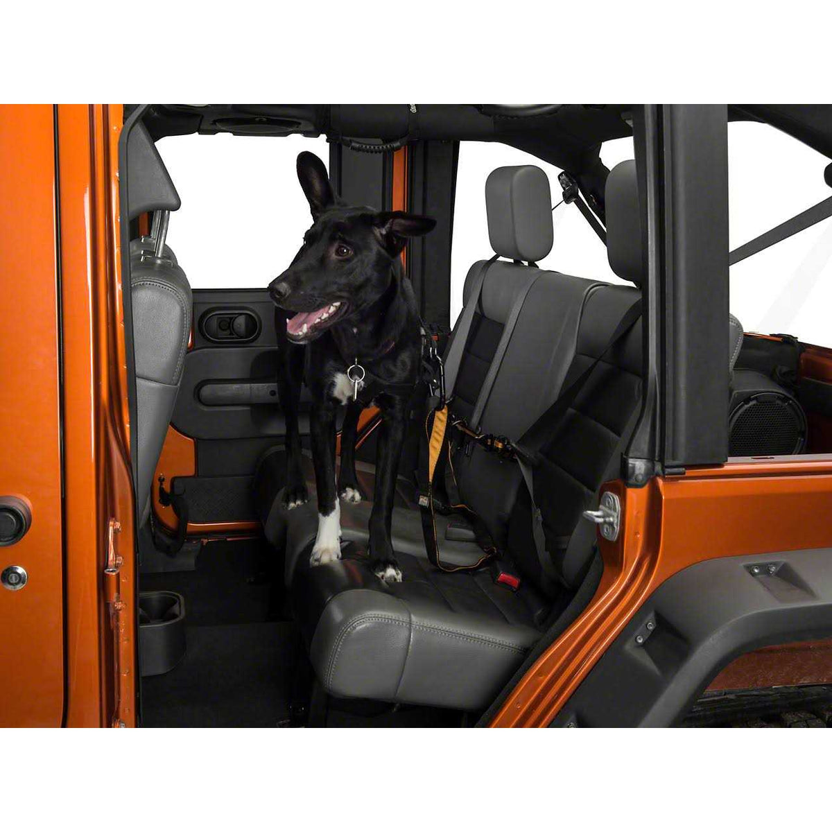 Pet Backseat Auto Zip Line with Leash C52309