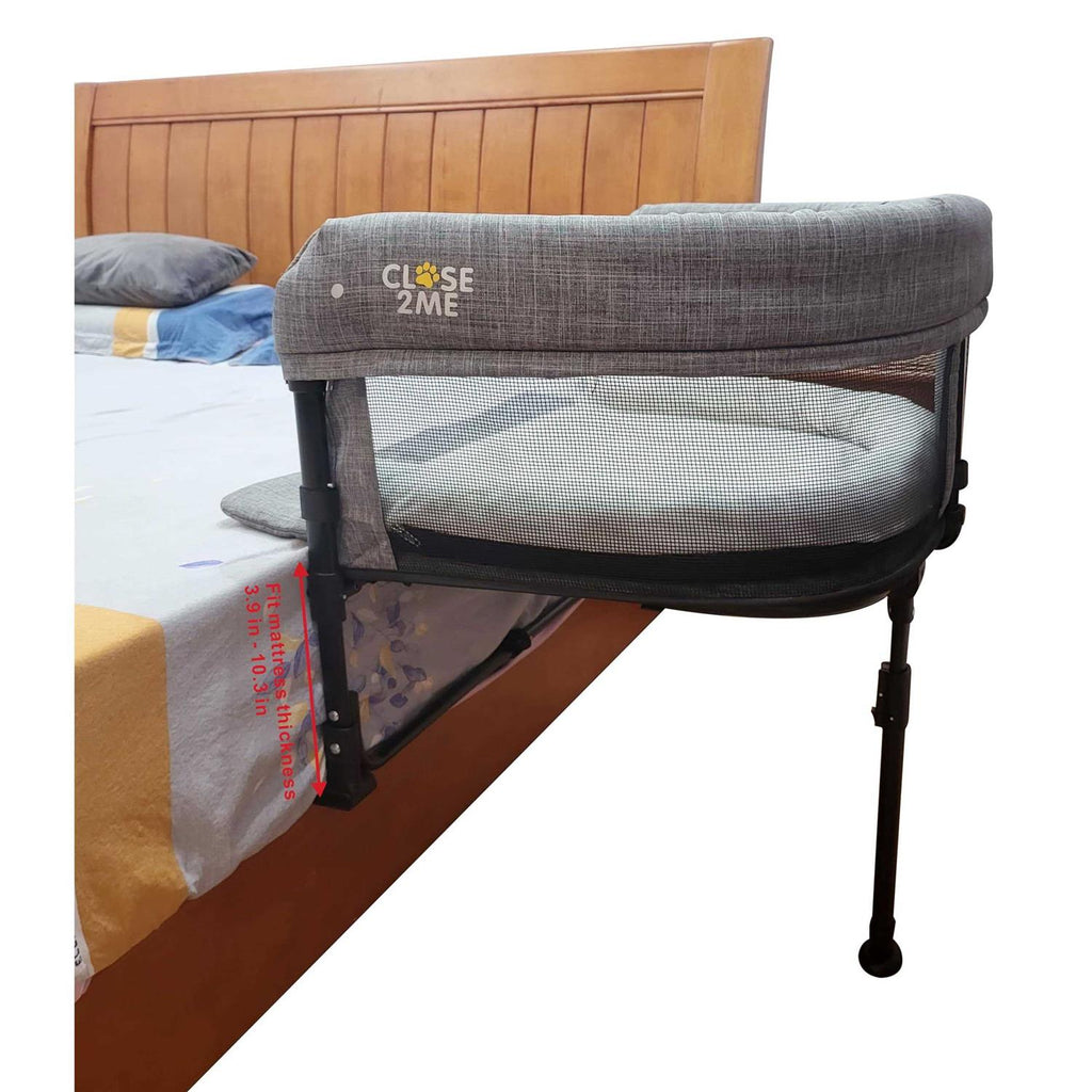 Pet Bed T91175