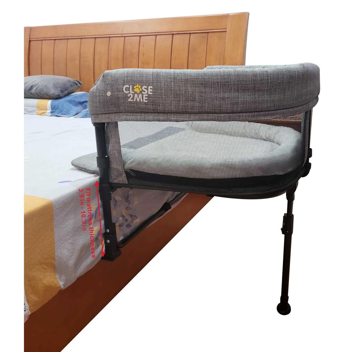 Pet Bed T91175