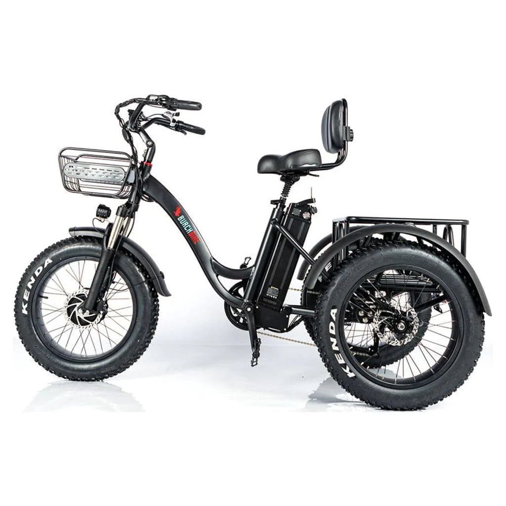 24 Inch Fat Tire 3 Wheel Electric Tricycle Y4053