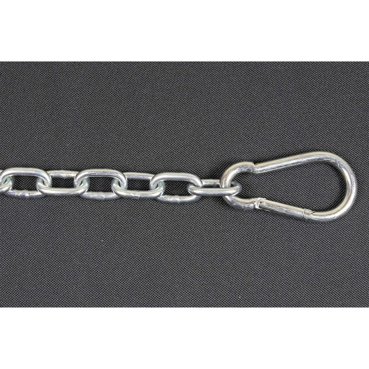 Chew Proof Dog Tether Chain Pet Leash Harness P865