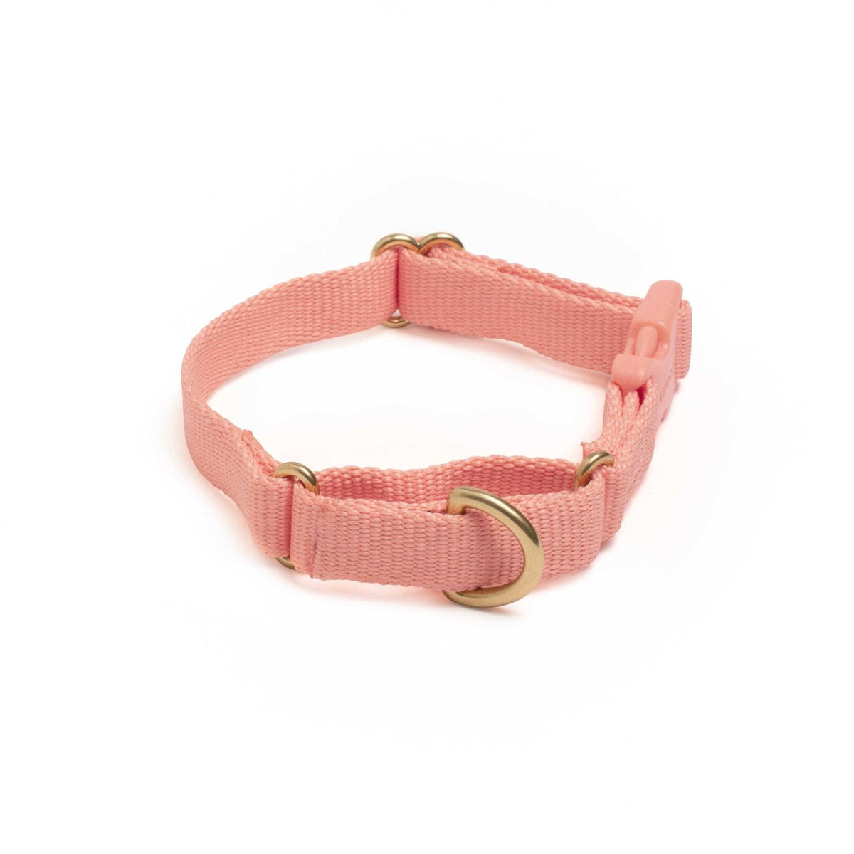 Martingale Dog Collar E4987
