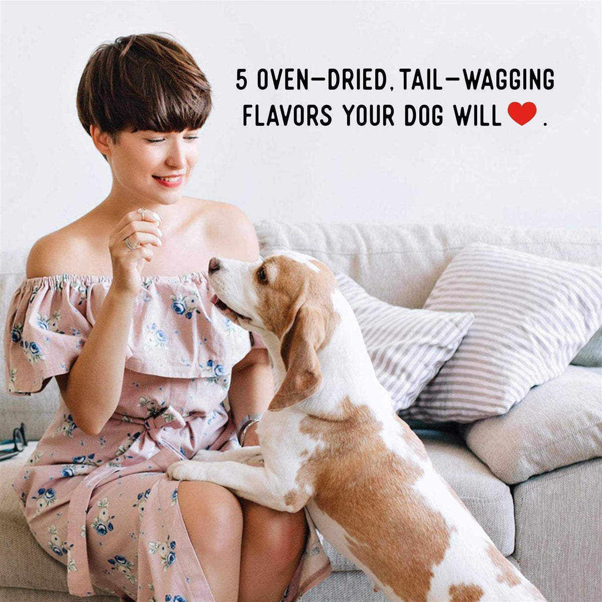 Dogs Love Variety Jerky Treats Y130