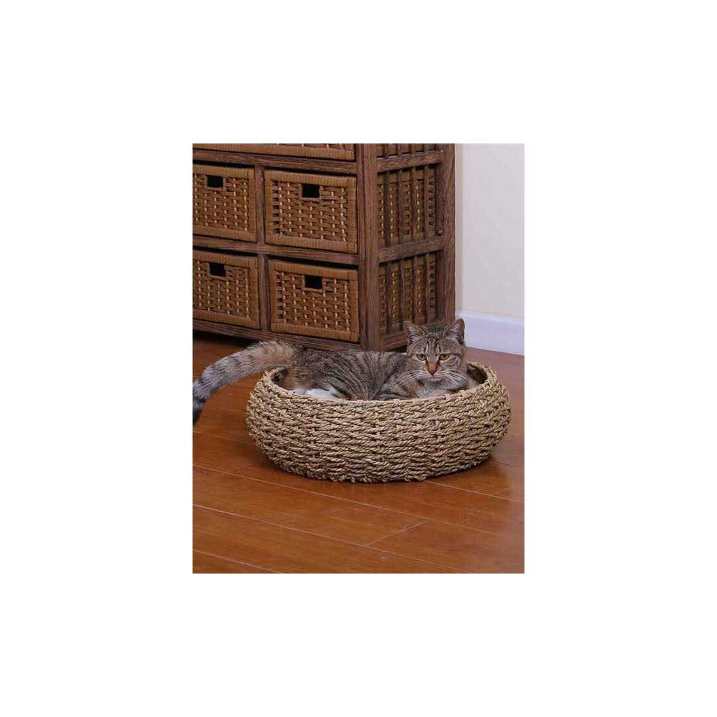 Seagrass Bed G136514