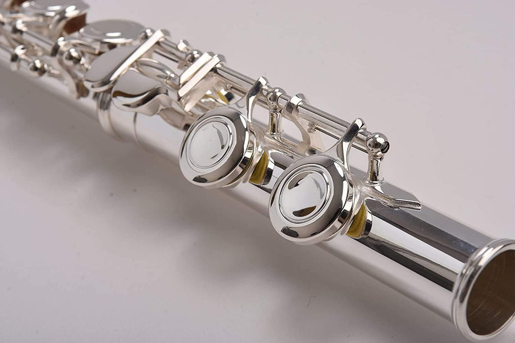 SOLID NICKEL-SILVER Flute Complete Set with Shoulder Carry Case, Cleaning Rod, Tenon Protectors Z640