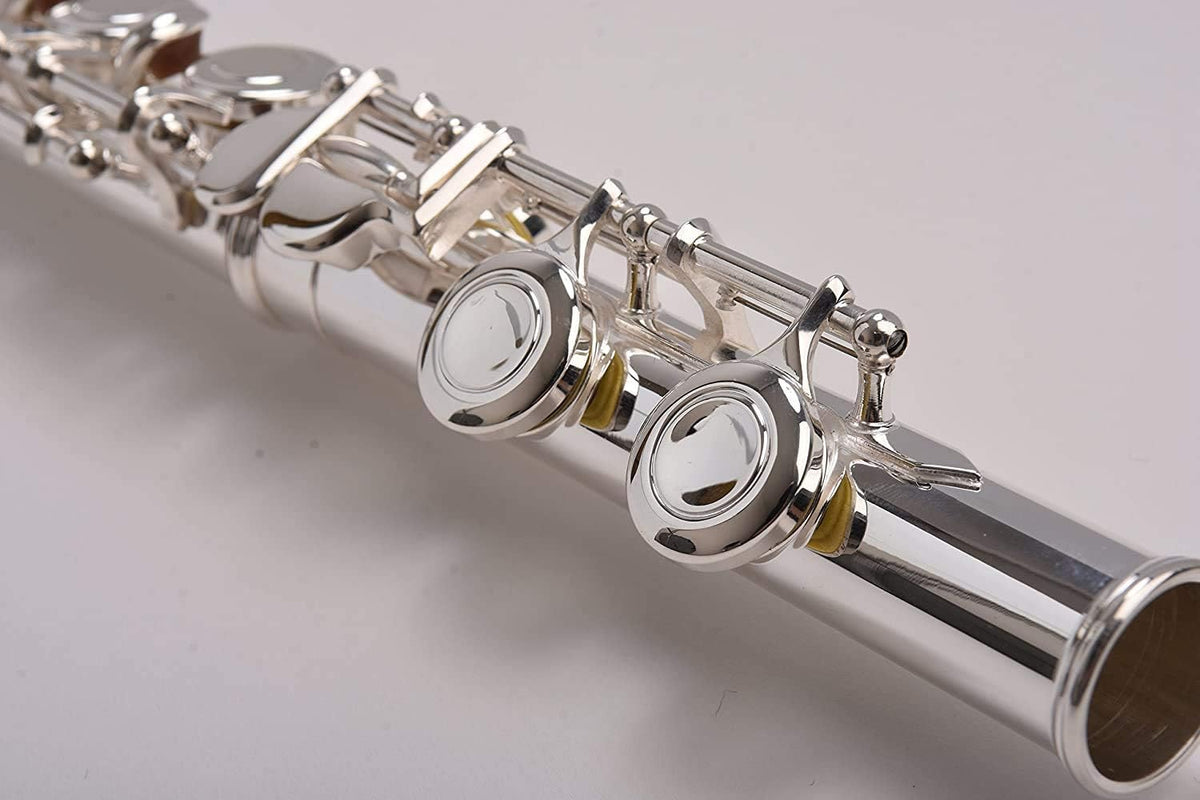 SOLID NICKEL-SILVER Flute Complete Set with Shoulder Carry Case, Cleaning Rod, Tenon Protectors Z640