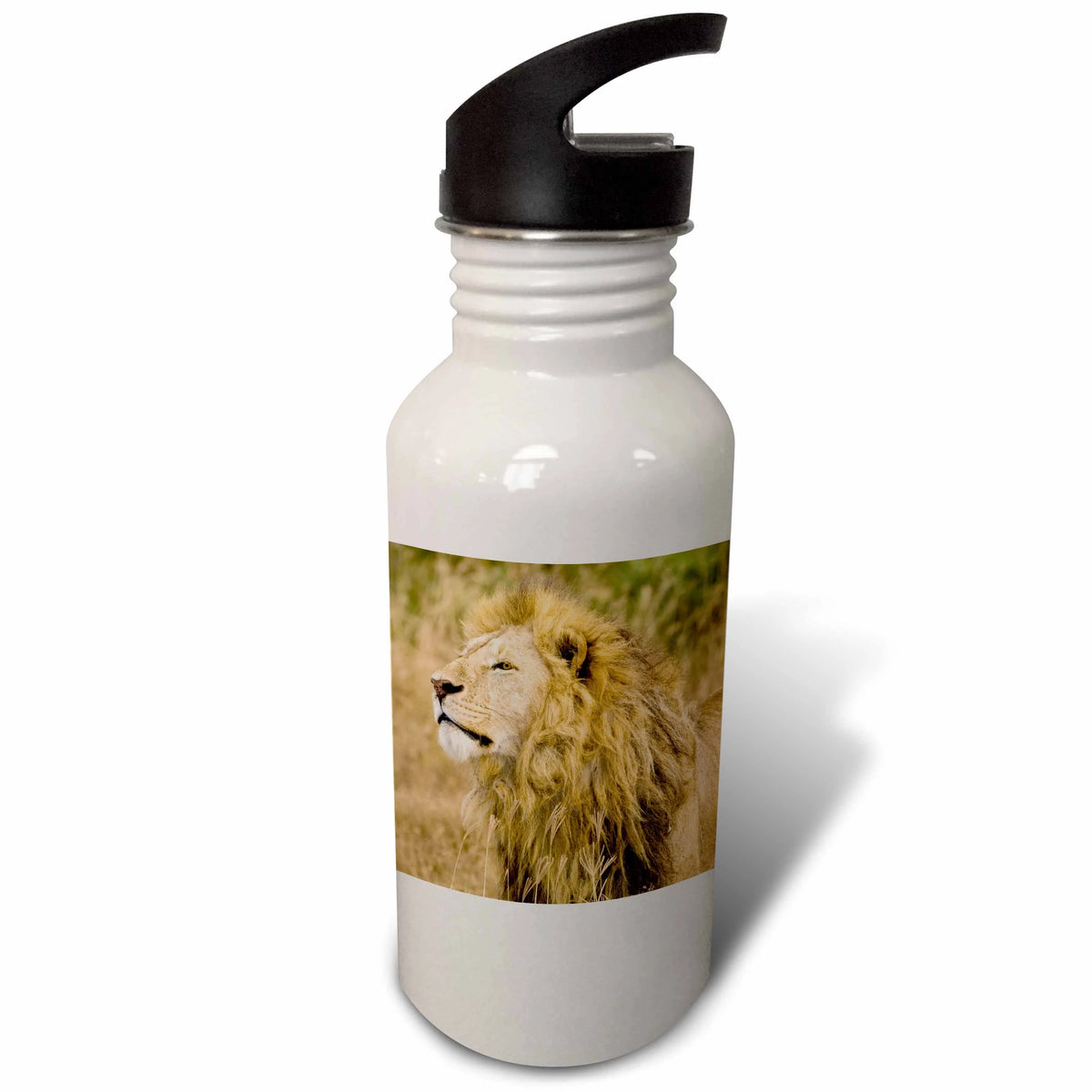 21 oz Sports Water Bottle V1253