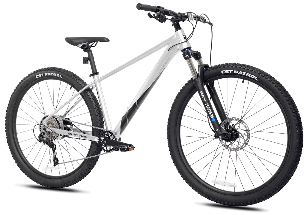 29-inch Front Suspension 10 Speeds Mountain Bike T5942