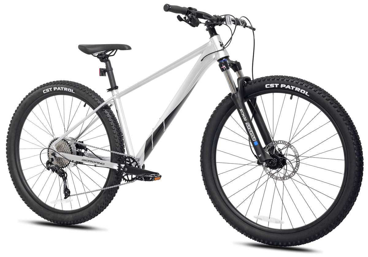 29-inch Front Suspension 10 Speeds Mountain Bike T5942