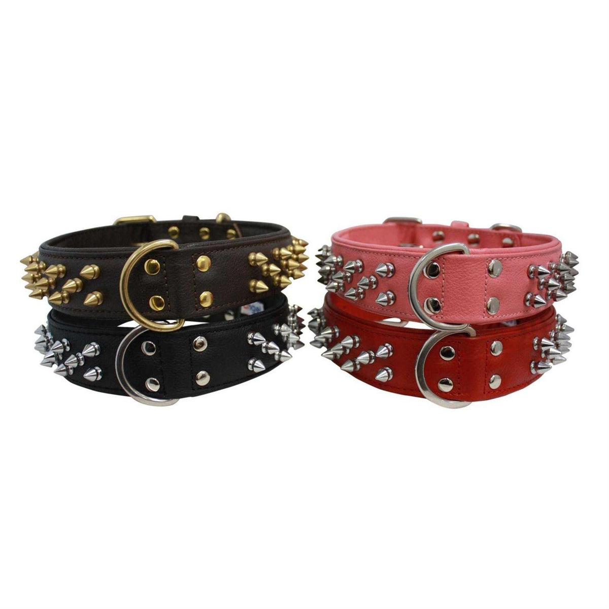 Dog Collar V556881
