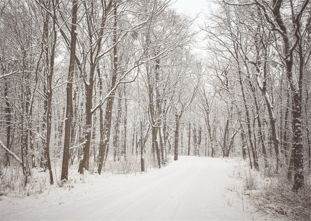 7x5ft Christmas Backdrop Snow Covered Landscape Photography Background C55584