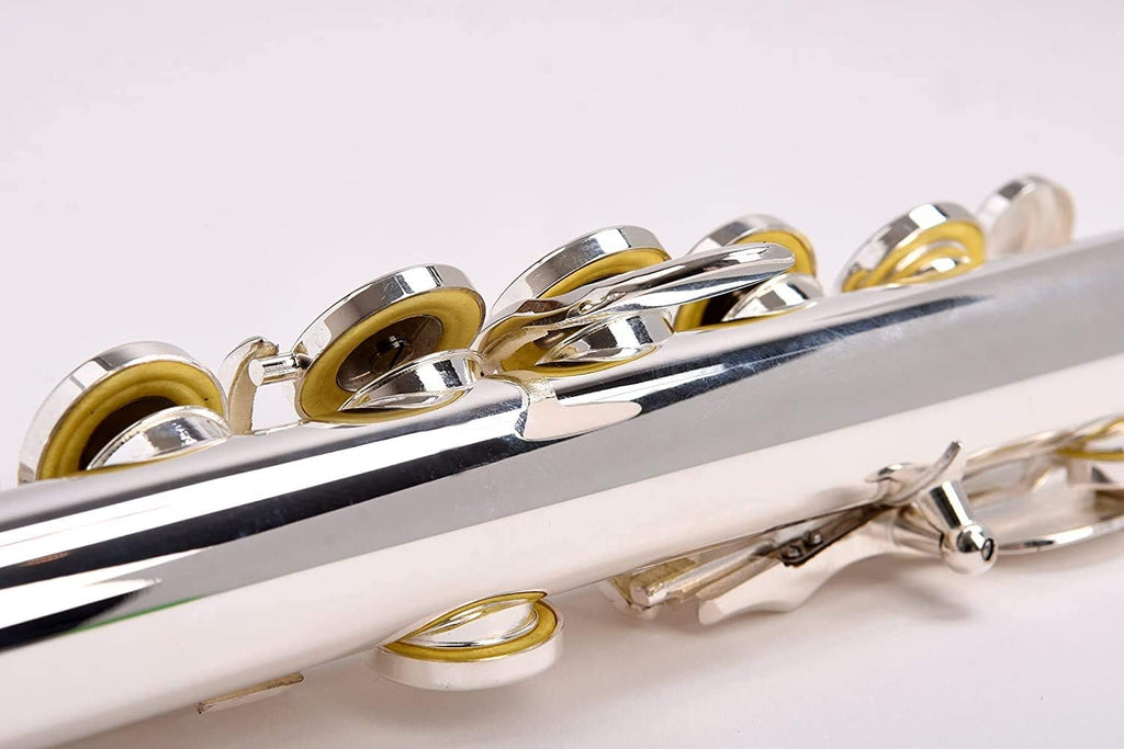 SOLID NICKEL-SILVER Flute Complete Set with Shoulder Carry Case, Cleaning Rod, Tenon Protectors Z640
