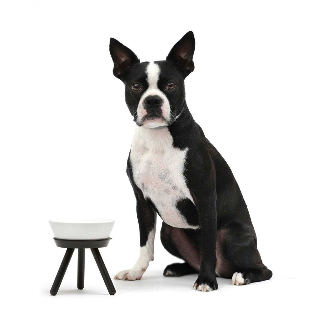 Pet Supplies Q405