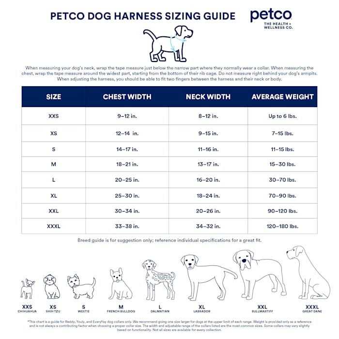 Dog Harness V508777