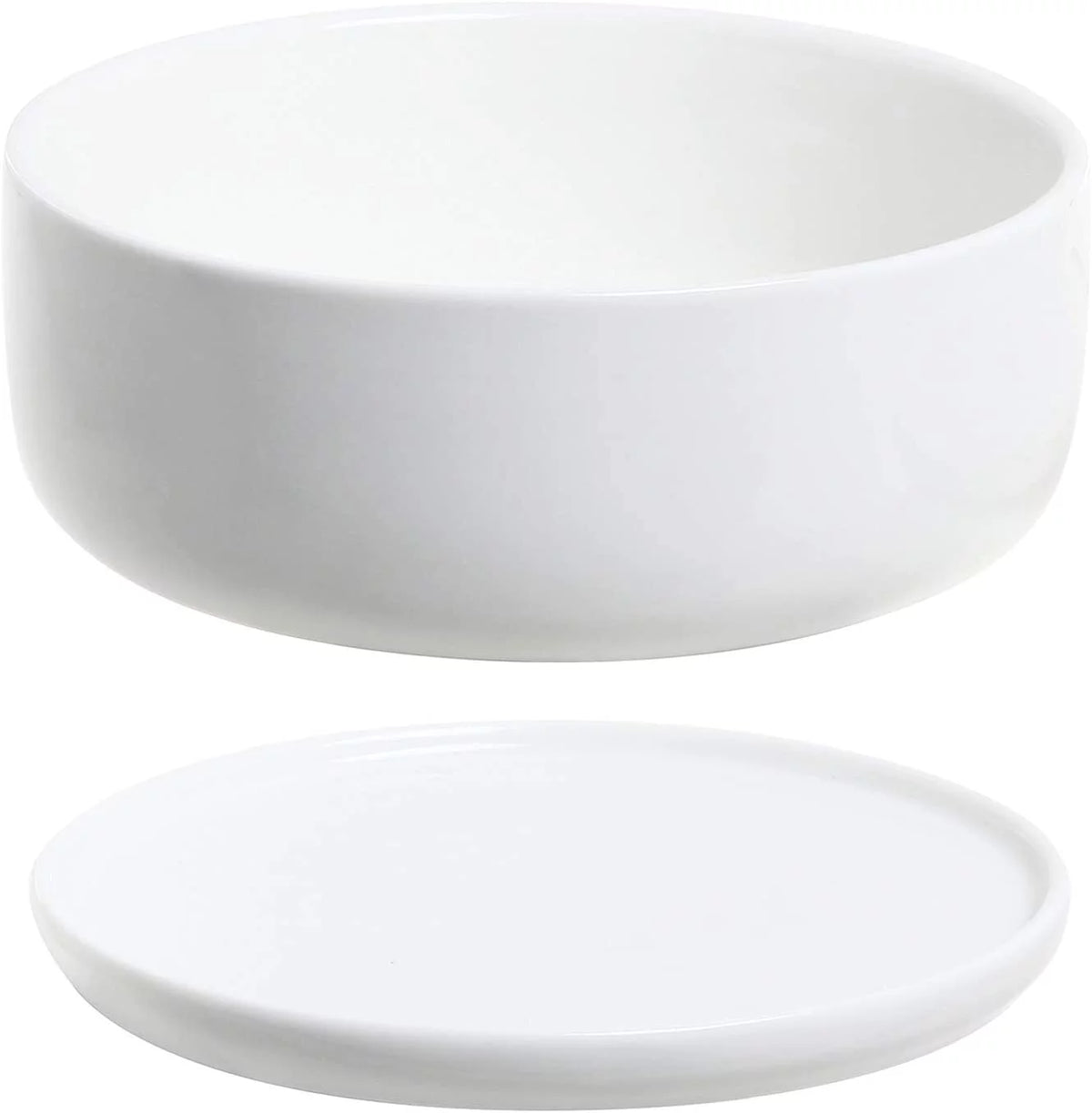 White Ceramic Succulent Planter Pot with Tray R4967