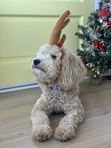 Reindeer Antler Dog Halloween Costume S6931