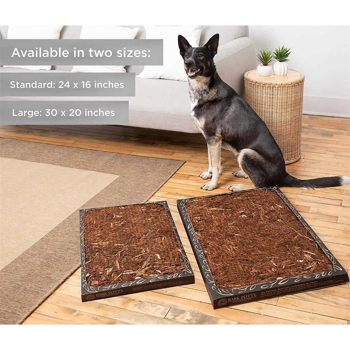 Disposable Dog Potty Z68884