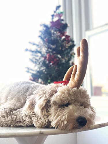 Reindeer Antler Dog Halloween Costume S6931