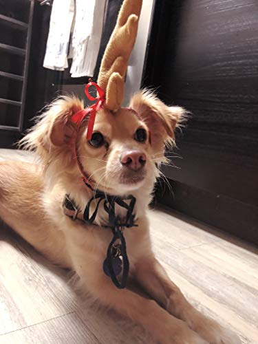 Reindeer Antler Dog Halloween Costume S6931