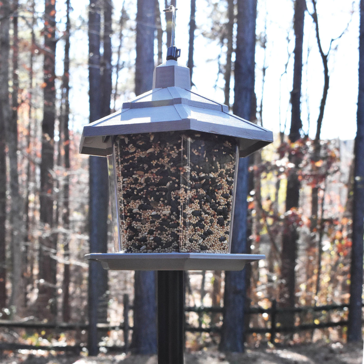 Gray Plastic 2.5 lb. Hopper Wild Bird Feeder F420242