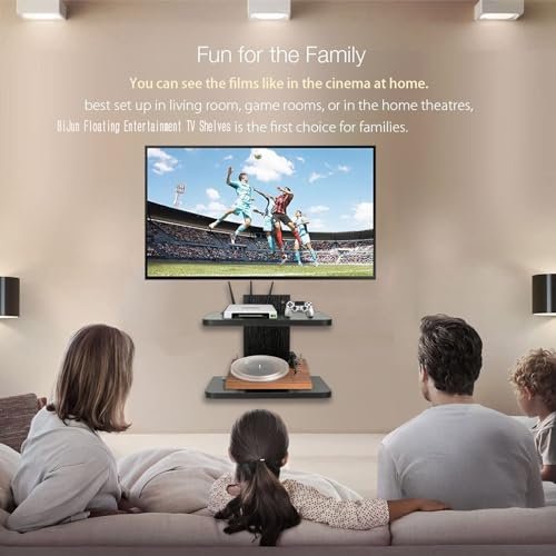 Floating Shelf (2 Shelf) F4941