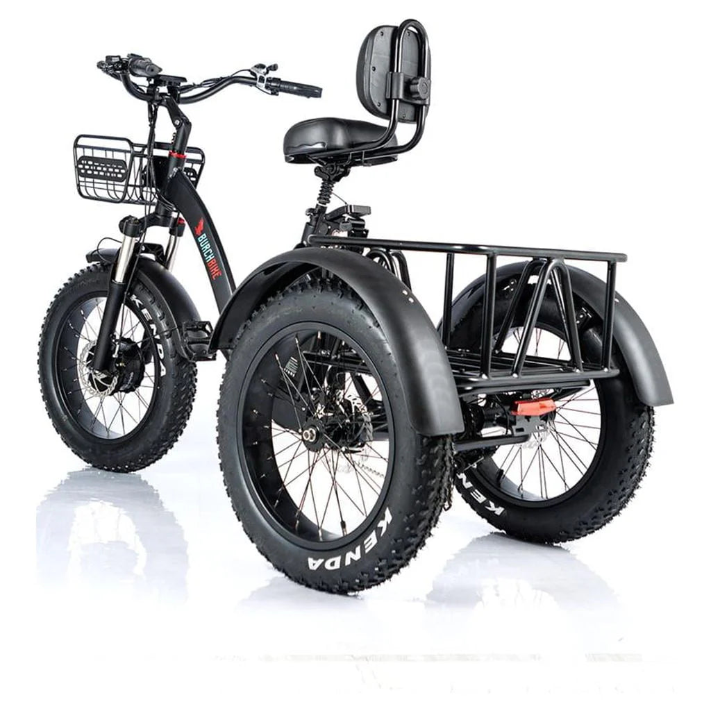24 Inch Fat Tire 3 Wheel Electric Tricycle Y4053