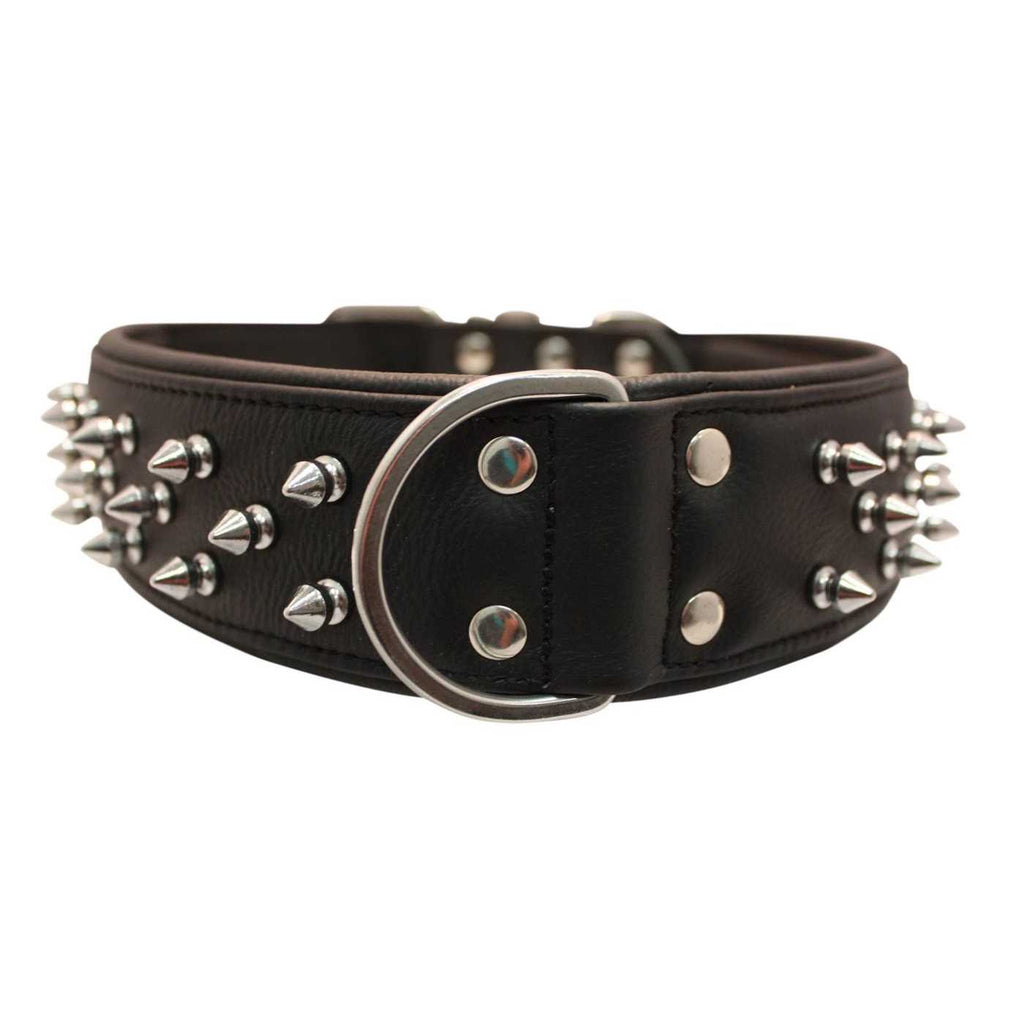 Dog Collar V556881