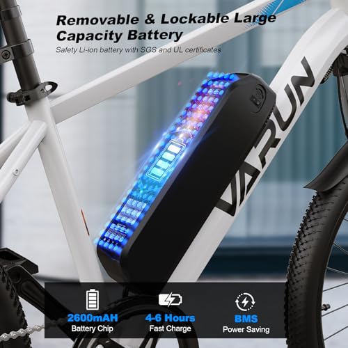 Electric Bike 350W 36V Removable Battery 24'' Mountain Bike J555755