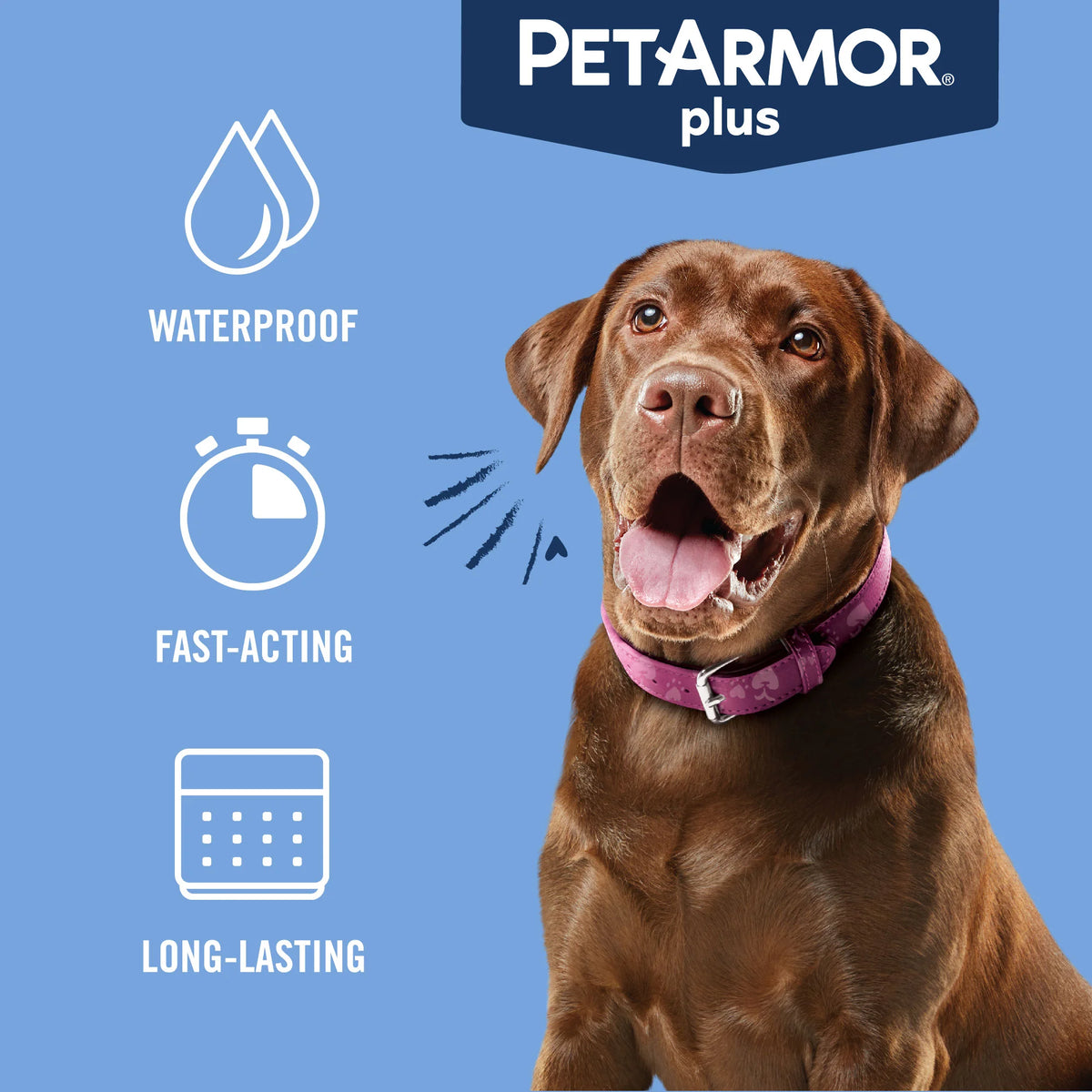 Flea & Tick Prevention for Large Dogs 3 Month Supply Y50763