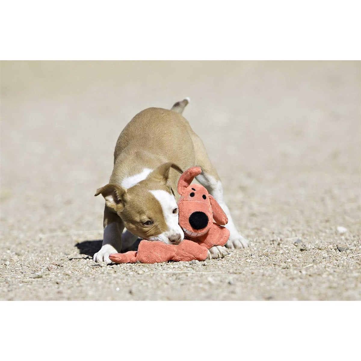 Squeaker Mat Dog Toy S49711