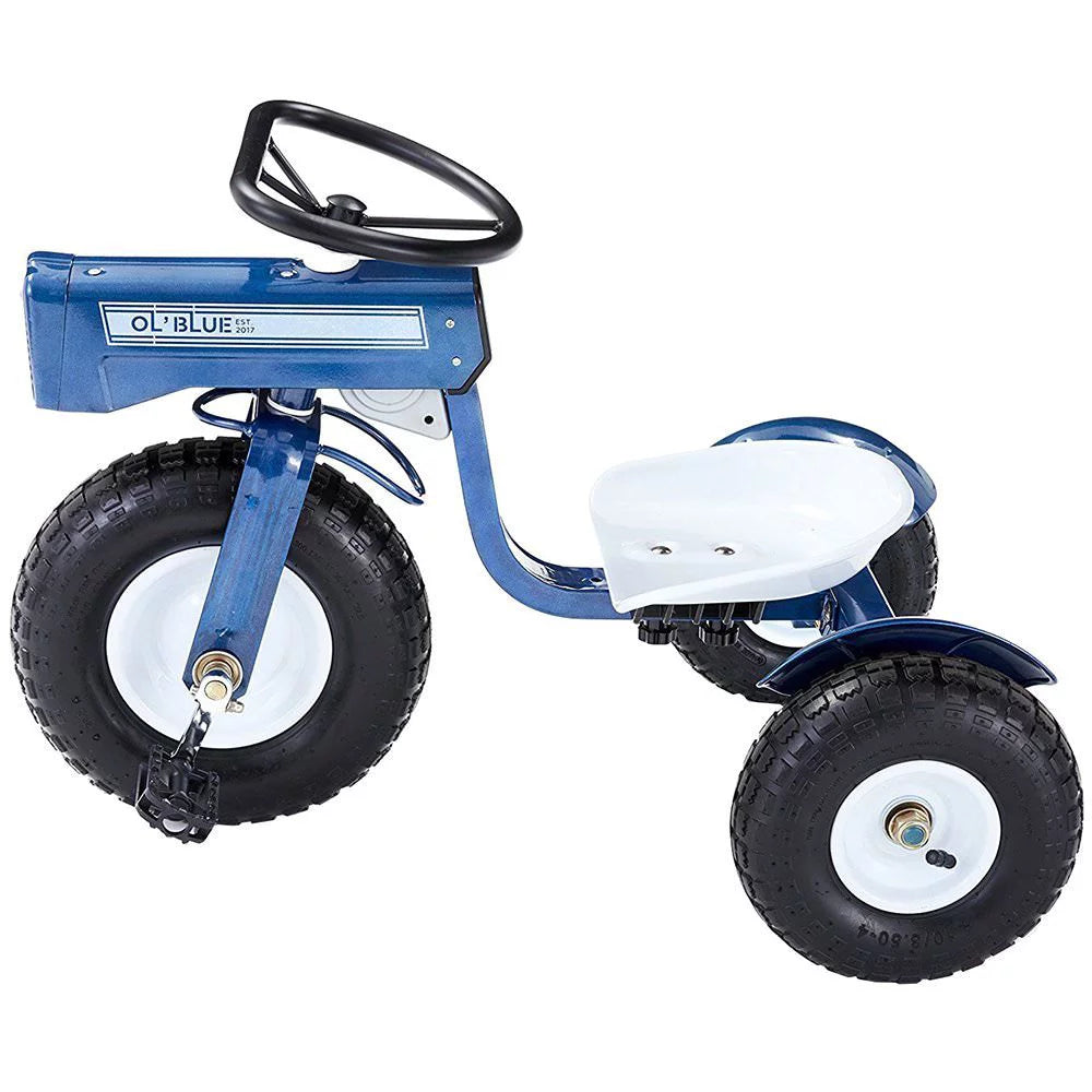 Blue Steel Tricycle H70146