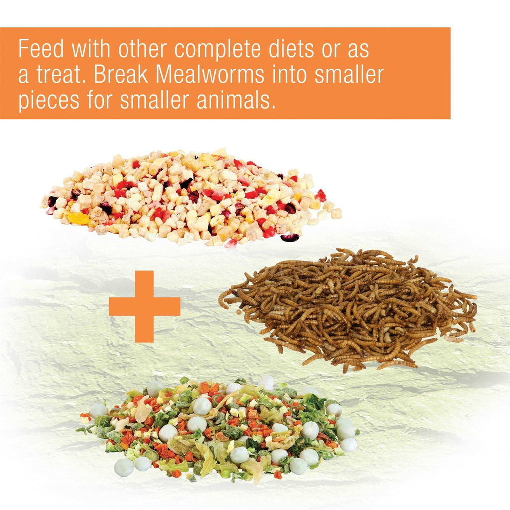 Mealworms Reptile E9706