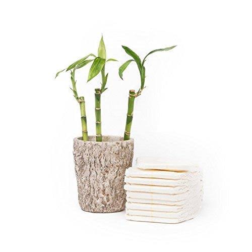 Bamboo Disposable Diapers, Small, 94 Count C806056