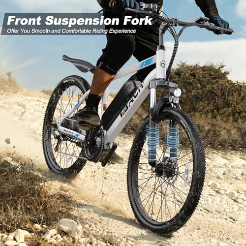 Electric Bike 350W 36V Removable Battery 24'' Mountain Bike J555755