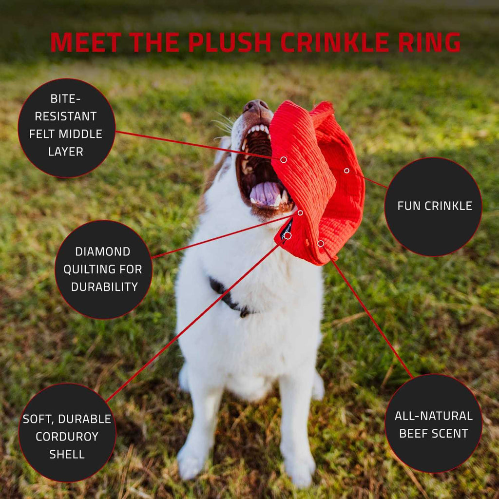 Beef Scented Plush Crinkle Ring Dog Toy K8852