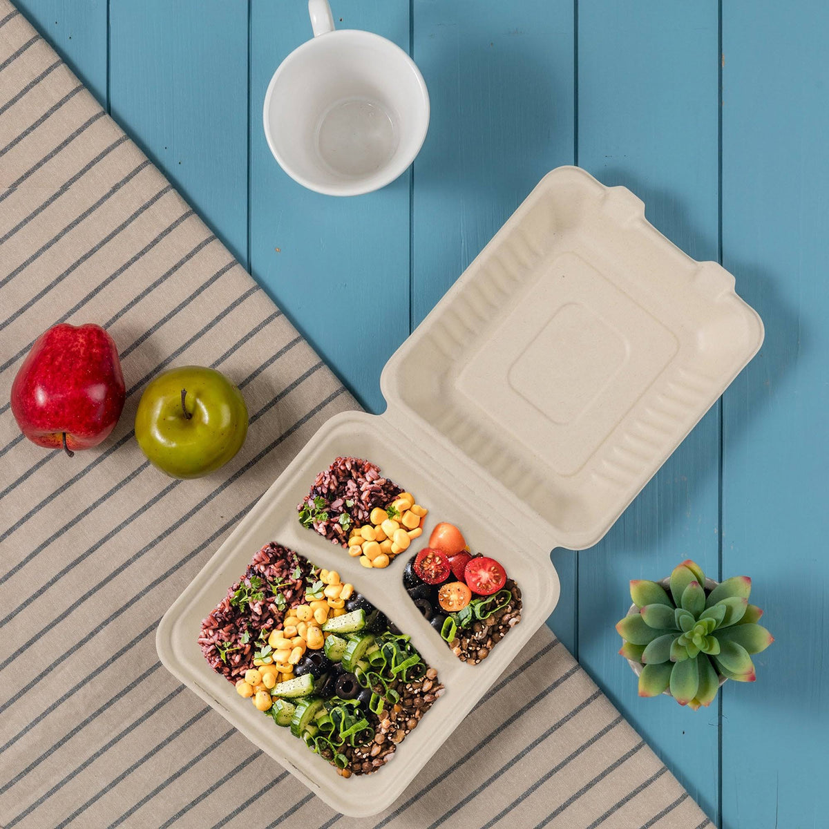 10 inch Natural Compostable Sugarcane Sectional Clamshell Containers, 300 Pack E570