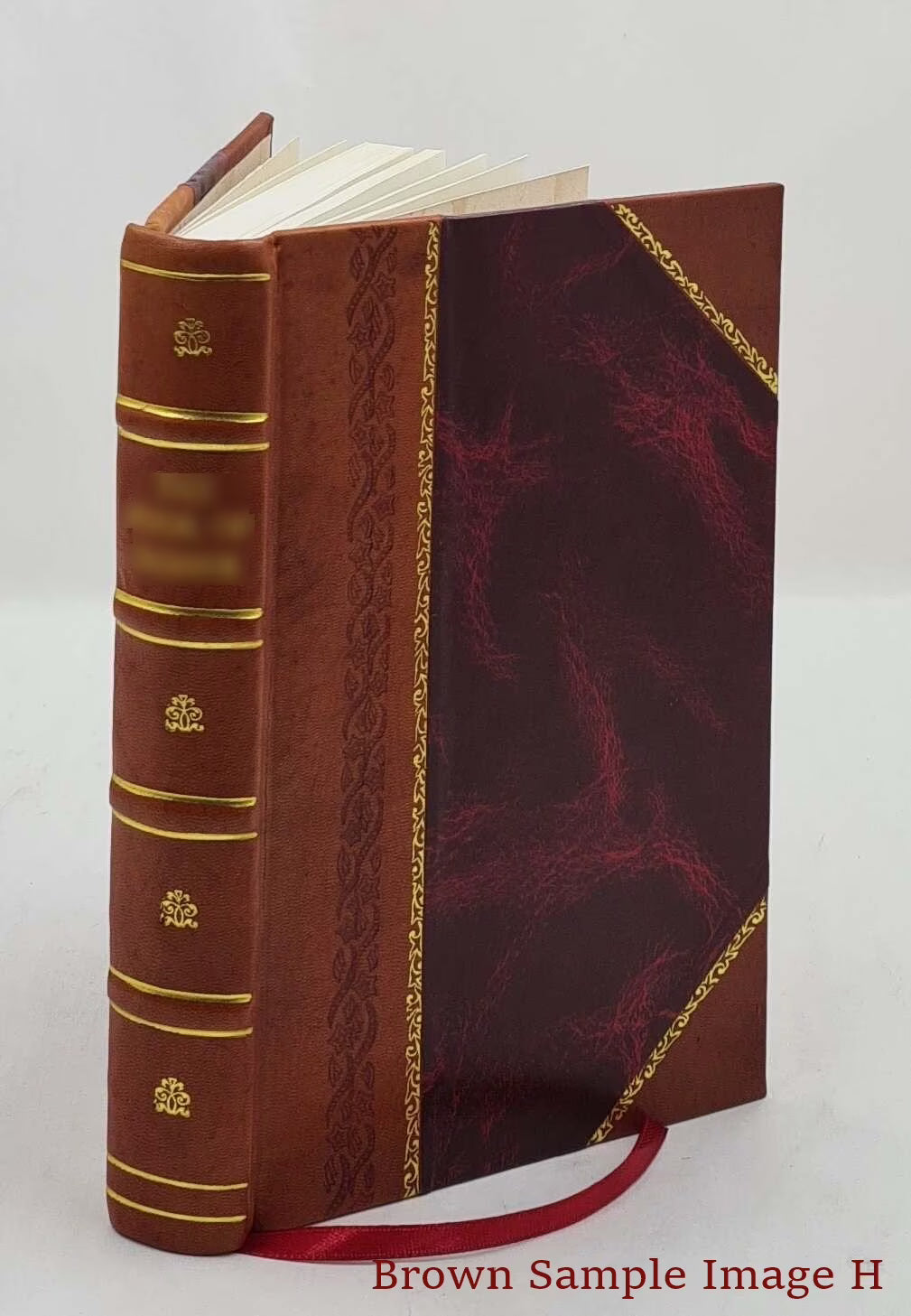 zanzibar the island metropolis of eastern africa 1920 Leather Bound X95752