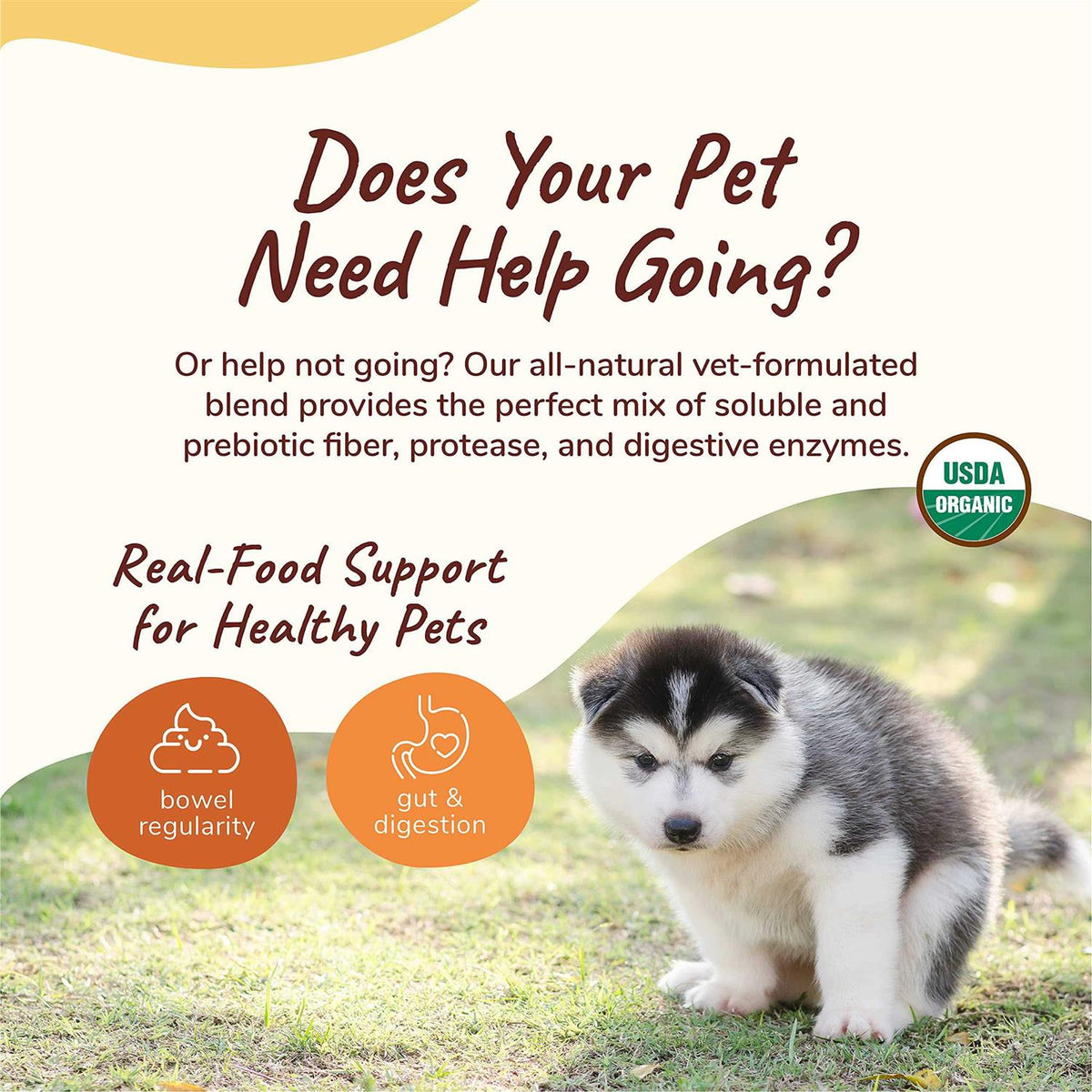 Organic Dog & Cat Supplement U28478