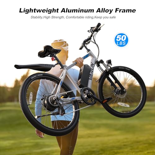 Electric Bike 350W 36V Removable Battery 24'' Mountain Bike J555755