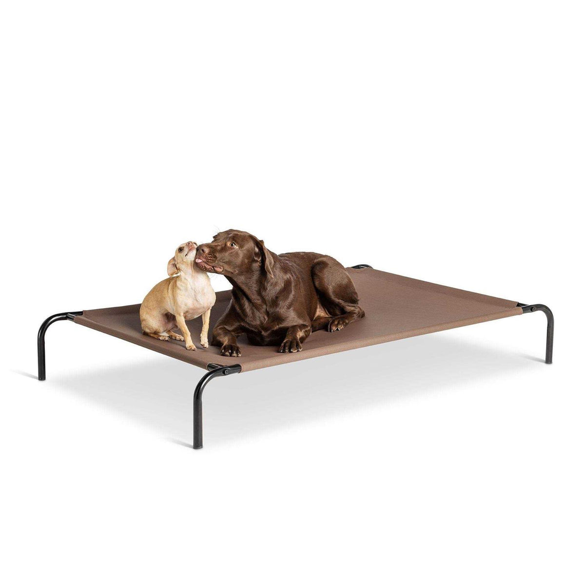 Elevated Dog Bed L91554