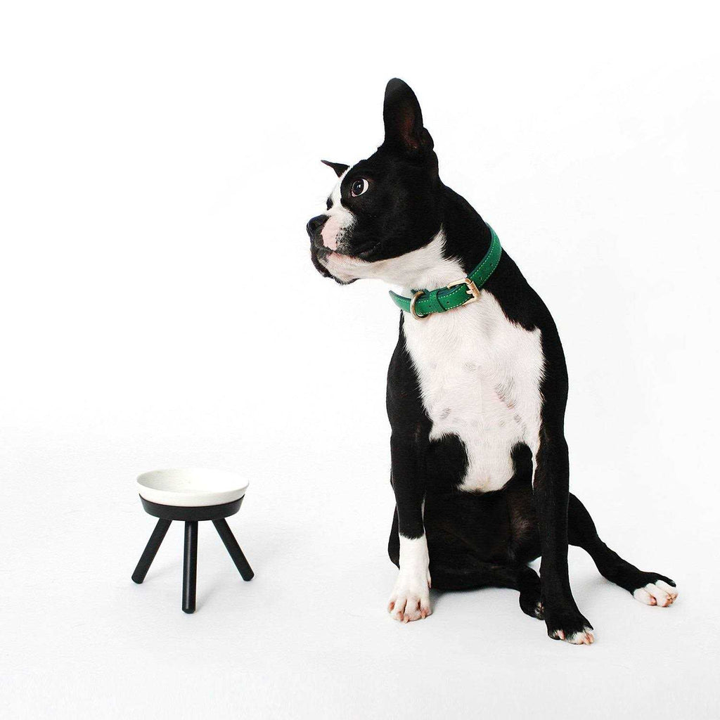 Pet Supplies Q405