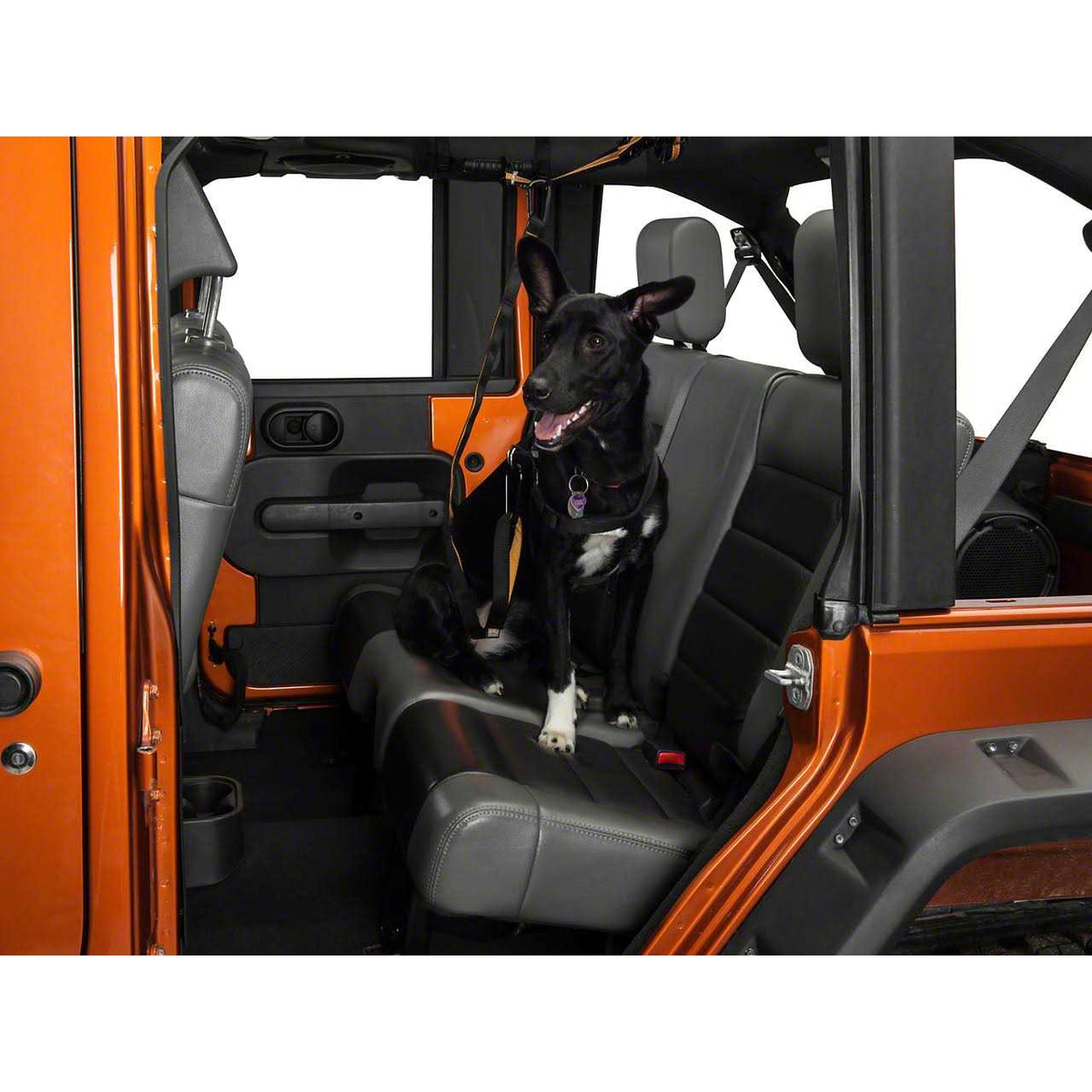 Pet Backseat Auto Zip Line with Leash C52309